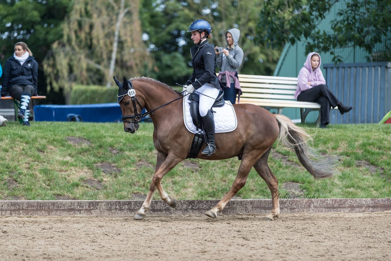 Bild 645 - Pony Akademie Turnier